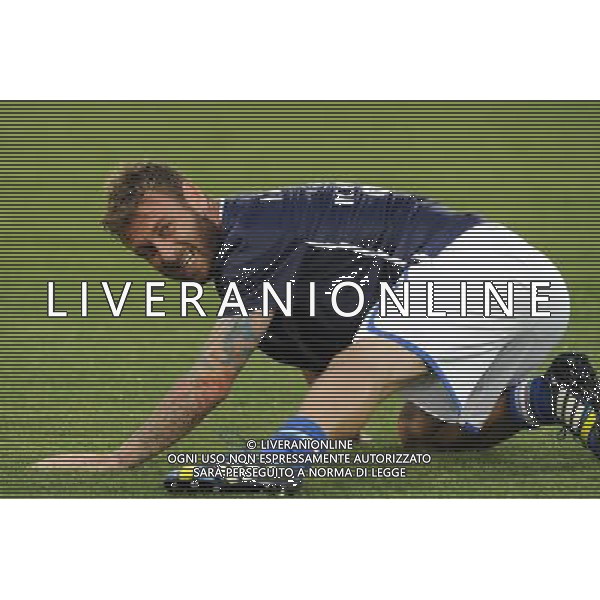 Roma - 14/08/2013 - Stadio Olimpico - Gara Amichevole - Italia vs Argentina - nella foto: Daniele De Rossi /Ph. Fabrizio Corradetti - Ag. Aldo Liverani sas