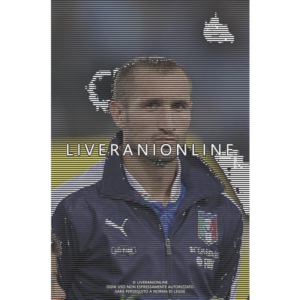 Roma - 14/08/2013 - Stadio Olimpico - Gara Amichevole - Italia vs Argentina - nella foto: Giorgio Chiellini /Ph. Fabrizio Corradetti - Ag. Aldo Liverani sas