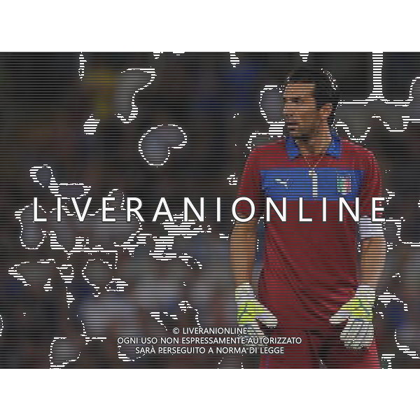 Amichevole FIFA Roma - 14.08.2013 Italia-Argentina Nella Foto:Buffon Gianluigi /Ph.Vitez-Ag. Aldo Liverani