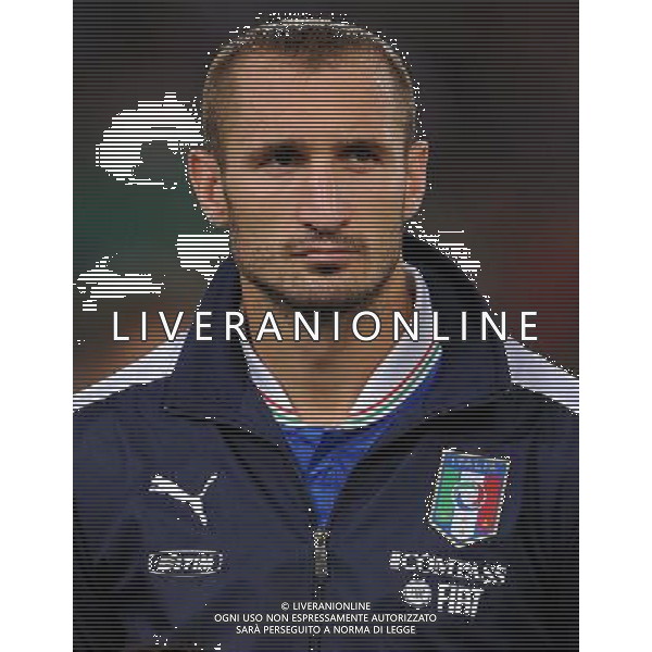 Amichevole FIFA Roma - 14.08.2013 Italia-Argentina Nella Foto:Chiellini Giorgio /Ph.Vitez-Ag. Aldo Liverani