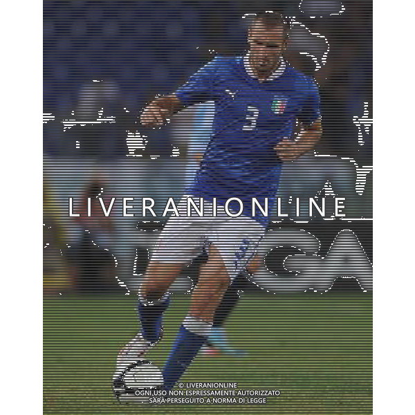 Amichevole FIFA Roma - 14.08.2013 Italia-Argentina Nella Foto:Chiellini Giorgio /Ph.Vitez-Ag. Aldo Liverani