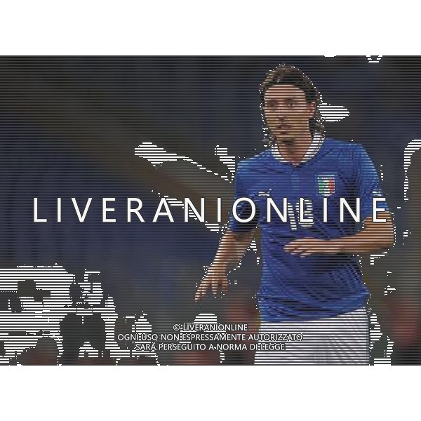 Amichevole FIFA Roma - 14.08.2013 Italia-Argentina Nella Foto:Montolivo Riccardo /Ph.Vitez-Ag. Aldo Liverani