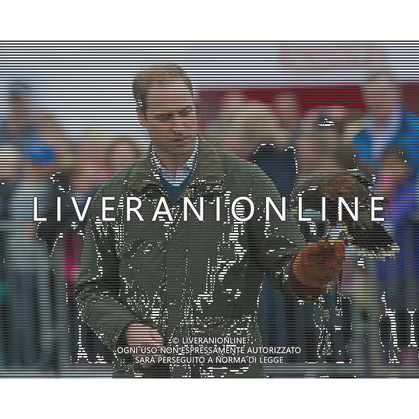 ANGLESEY, WALES - AUGUST 14: Prince William, Duke of Cambridge attends the Anglesey County Show in Anglesey. August 14, 2013. Photo By Morgan/RTN/MediaPunch Inc.. FOT. MEDIAPUNCH/NEWSPIX.PL POLAND, US, FRANCE AND GERMANY OUT !!! --- Newspix.pl AG ALDO LIVERANI SAS ONLY ITALY *** Local Caption *** www.newspix.pl mail us: info@newspix.pl call us: 0048 022 23 22 222 --- Polish Picture Agency by Ringier Axel Springer Poland