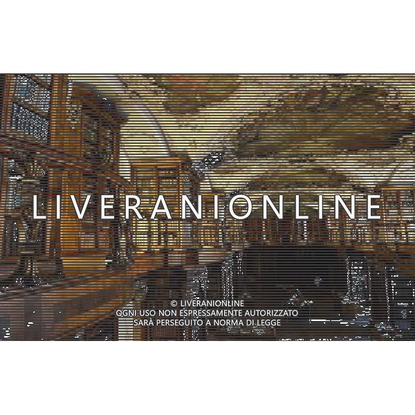 (130816) -- ST.GALLEN, Aug. 16, 2013 () -- Picture taken on Aug. 15, 2013 shows the Abbey Library. Located in eastern Switzerland\'s St. Gallen city, the Convent of St. Gall was one of the most important convents in Europe from the 8th century to its secularization in 1805. The Convent of St Gall, with its splendid baroque cathedral and the Abbey Library, constitutes a unique historic ensemble and was named a UNESCO World Heritage Site in 1983. Its library is one of the richest and oldest in the world and contains 170,000 works and some 2,100 original medieval handwritten manuscripts, including the earliest-known architectural plan drawn on parchment. The hall of the library and the cathedral, main features of this remarkable architectural complex, was built in Baroque style between 1758-1767, reflecting 12 centuries of continuous activity. In 612, the Irish monk Gallus erected his hermitage on this site. It was around 719 that the Aleman Otmar extended the original hermit\'s cell into an abbey, which flourished rapidly. By the 9th century, thanks to its schools and library, the Abbey of St. Gall subsequently became one of the leading cultural centers of the Western world. And then the Benedictine monastery enjoyed a second period of glory in the 17th and 18th centuries. (/Wang Siwei) ©photoshot/AGENZIA ALDO LIVERANI SAS - ITALY ONLY - Conventi, Chiese e Cattedrali nella citta\' di San Gallo in Svizzera, i piu\' importanti d\'Europa dall\'8¡ secolo per la sua secolarizzazione nel 1805 patrimonio mondiale dell\'UNESCO dal 1983