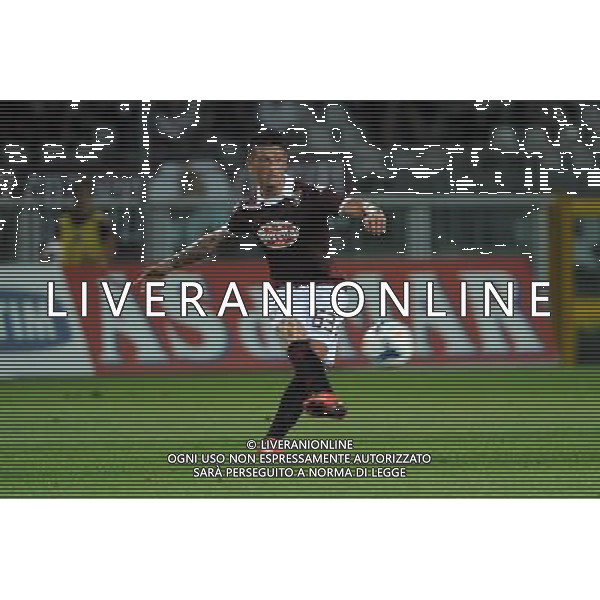 Torino 17-08-2013 TIM Cup - Coppa Italia terzo turno eliminatorio Torino - Pescara nella foto Bellomo foto Roberto Garavaglia - ag. Aldo Liverani sas