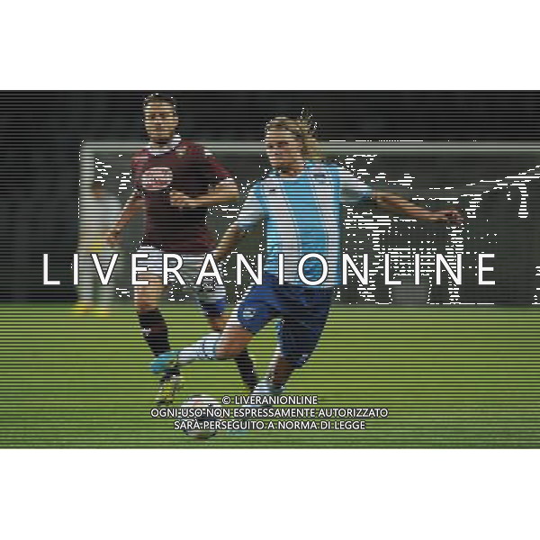 Torino 17-08-2013 TIM Cup - Coppa Italia terzo turno eliminatorio Torino - Pescara nella foto Birkir Bjarnason (Pescara) foto Roberto Garavaglia - ag. Aldo Liverani sas