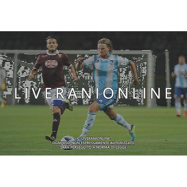 Torino 17-08-2013 TIM Cup - Coppa Italia terzo turno eliminatorio Torino - Pescara nella foto Birkir Bjarnason (Pescara) foto Roberto Garavaglia - ag. Aldo Liverani sas