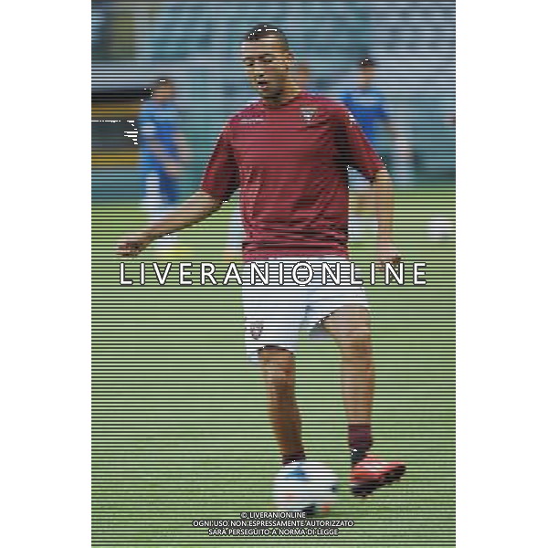 Torino 17-08-2013 TIM Cup - Coppa Italia terzo turno eliminatorio Torino - Pescara nella foto foto Roberto Garavaglia - ag. Aldo Liverani sas