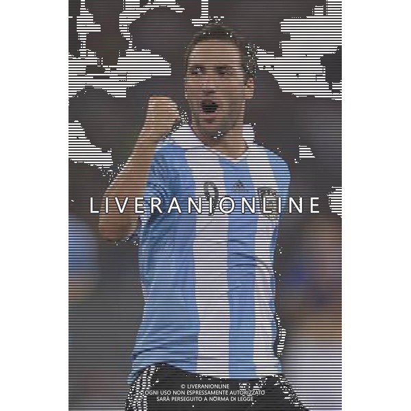 Roma - 14/08/2013 - Stadio Olimpico - Gara Amichevole - Italia vs Argentina - nella foto: Gonzalo Higuain esulta dopo il gol /Ph. Fabrizio Corradetti - Ag. Aldo Liverani sas