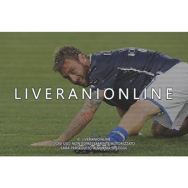 Roma - 14/08/2013 - Stadio Olimpico - Gara Amichevole - Italia vs Argentina - nella foto: Daniele De Rossi /Ph. Fabrizio Corradetti - Ag. Aldo Liverani sas