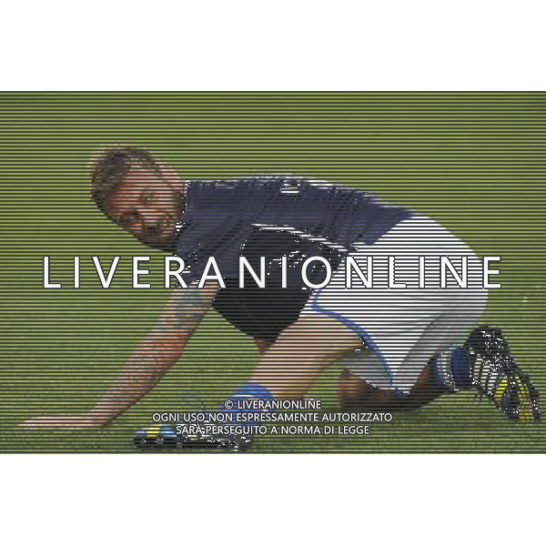 Roma - 14/08/2013 - Stadio Olimpico - Gara Amichevole - Italia vs Argentina - nella foto: Daniele De Rossi /Ph. Fabrizio Corradetti - Ag. Aldo Liverani sas