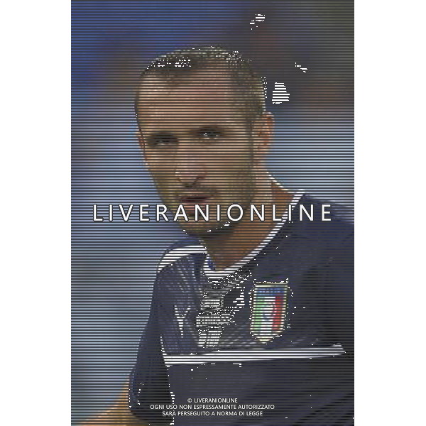 Roma - 14/08/2013 - Stadio Olimpico - Gara Amichevole - Italia vs Argentina - nella foto: Giorgio Chiellini /Ph. Fabrizio Corradetti - Ag. Aldo Liverani sas