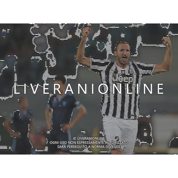 Supercoppa TIM 2013 Torino - 18.08.2013 Juventus-Lazio Nella Foto:chiellini esulta /Ph.Vitez-Ag. Aldo Liverani