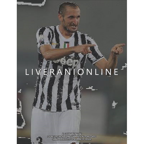 Supercoppa TIM 2013 Torino - 18.08.2013 Juventus-Lazio Nella Foto:Chiellini Giorgio /Ph.Vitez-Ag. Aldo Liverani