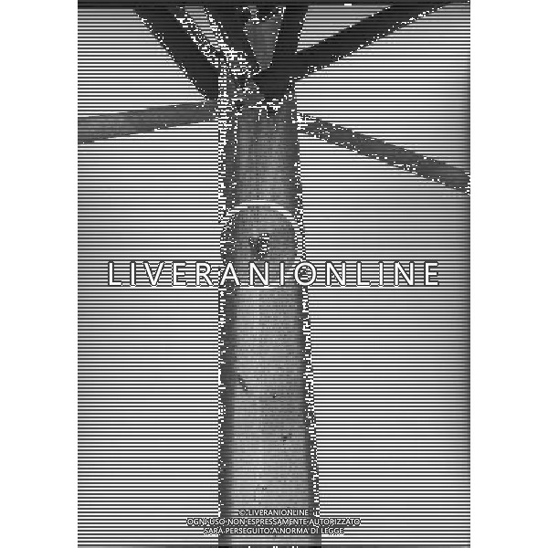 ARCHIVIO GIOVANNI LIVERANI NELLA FOTO Giangiacomo Feltrinelli mor“ mentre si trovava su un traliccio dellÕENEL per provocare un black-out a Milano. Feltrinelli era un militante del PCI, appartenente a una ricchissima famiglia della borghesia milanese e fondatore di una casa editrice popolare che diffondeva le idee di Marx e Che Guevara ARCHIVIO GIOVANNI LIVERANI-AG ALDO LIVERANI SAS