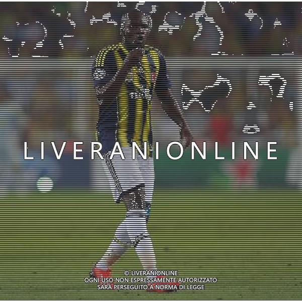 UEFA Chanpions League playoff first leg match between Fenerbahce and Arsenal at Sukru Saracoglu Stadiym in Istanbul, Turkey on august 21, 2013. Pictured: Moussa Sow of Fenerbahce. LIGA MISTRZOW SEZON 2013/2014 PILKA NOZNA FENERBAHCE ISTAMBUL vs ARSENAL LONDYN FOT.SESKIMPHOTO/NEWSPIX.PL POLAND, TURKEY, GERMANY, AUSTRIA AND UK OUT !!! --- Newspix.pl AG ALDO LIVERANI SAS ONLY ITALY *** Local Caption *** www.newspix.pl mail us: info@newspix.pl call us: 0048 022 23 22 222 --- Polish Picture Agency by Ringier Axel Springer Poland