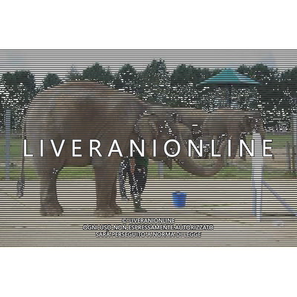 Elephant bath time, behind-the-scenes tours and up close encounters
