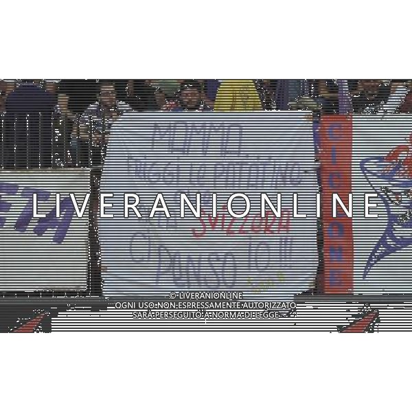 UEFA Europa League 2013/2014 Spareggi Andata Zurigo - 22.08.2013 Grasshoppers-Fiorentina Nella Foto:tifosi fiorentina /Ph.Vitez-Ag. Aldo Liverani