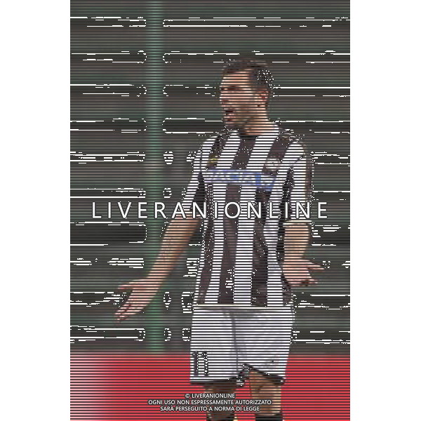 TRIESTE 22-08-2013 PRELIMINALI EUROPA LEAGUE UDINESE-SLOVAN LIBEREC NELLA FOTO:DOMIZZI FOTO PAOLA GARBUIO/AG.ALDO LIVERANI