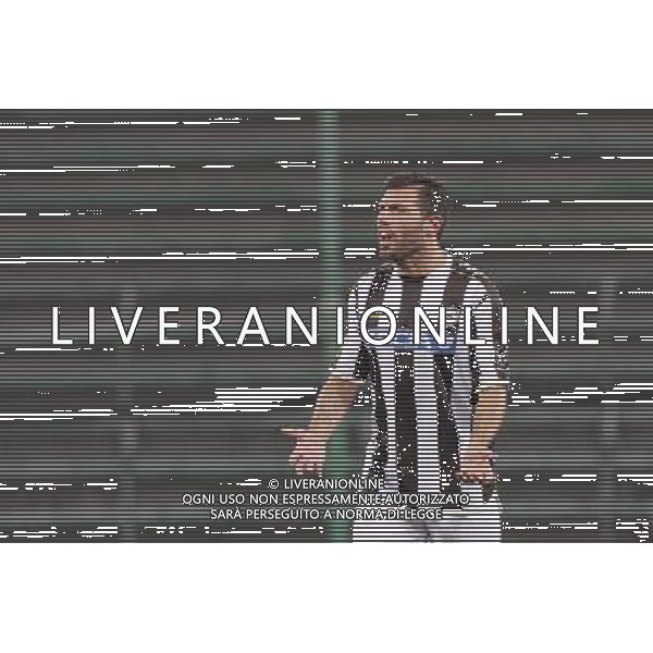 TRIESTE 22-08-2013 PRELIMINALI EUROPA LEAGUE UDINESE-SLOVAN LIBEREC NELLA FOTO:DOMIZZI FOTO PAOLA GARBUIO/AG.ALDO LIVERANI