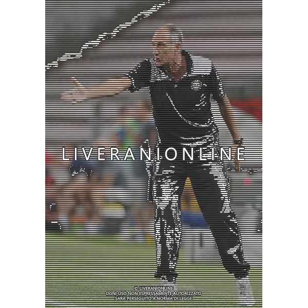 TRIESTE 22-08-2013 PRELIMINALI EUROPA LEAGUE UDINESE-SLOVAN LIBEREC NELLA FOTO:GUIDOLIN FOTO PAOLA GARBUIO/AG.ALDO LIVERANI