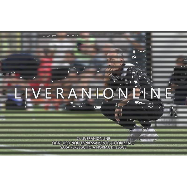 TRIESTE 22-08-2013 PRELIMINALI EUROPA LEAGUE UDINESE-SLOVAN LIBEREC NELLA FOTO:GUIDOLIN FOTO PAOLA GARBUIO/AG.ALDO LIVERANI