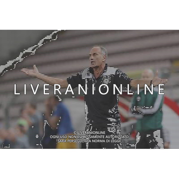 TRIESTE 22-08-2013 PRELIMINALI EUROPA LEAGUE UDINESE-SLOVAN LIBEREC NELLA FOTO:GUIDOLIN FOTO PAOLA GARBUIO/AG.ALDO LIVERANI