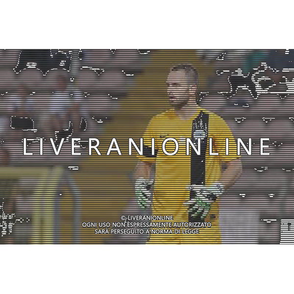 TRIESTE 22-08-2013 PRELIMINALI EUROPA LEAGUE UDINESE-SLOVAN LIBEREC NELLA FOTO:KOVAR FOTO PAOLA GARBUIO/AG.ALDO LIVERANI