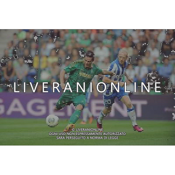 Romain HAMOUMA - 29.08.2013 - Saint Etienne / Esbjerg FB - Europa League 2013 Photo : Jean Paul Thomas / Icon Sport