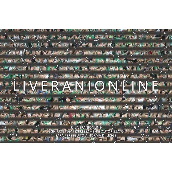 AMBIANCE / SUPPORTERS - 29.08.2013 - Saint Etienne / Esbjerg FB - Europa League 2013 Photo : Jean Paul Thomas / Icon Sport AG ALDO LIVERANI SAS ONLY ITALY