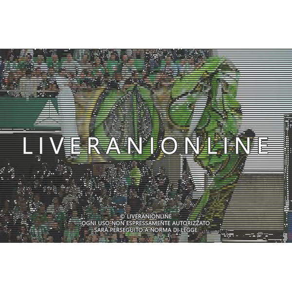 AMBIANCE / SUPPORTERS - 29.08.2013 - Saint Etienne / Esbjerg FB - Europa League 2013 Photo : Jean Paul Thomas / Icon Sport AG ALDO LIVERANI SAS ONLY ITALY