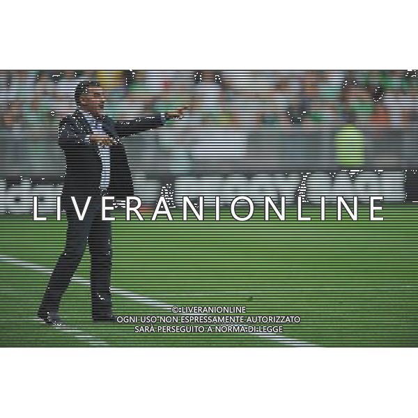 Christophe GALTIER - 29.08.2013 - Saint Etienne / Esbjerg FB - Europa League 2013 Photo : Jean Paul Thomas / Icon Sport AG ALDO LIVERANI SAS ONLY ITALY