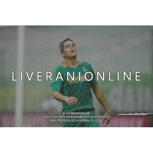 Romain HAMOUMA - 29.08.2013 - Saint Etienne / Esbjerg FB - Europa League 2013 Photo : Jean Paul Thomas / Icon Sport AG ALDO LIVERANI SAS ONLY ITALY
