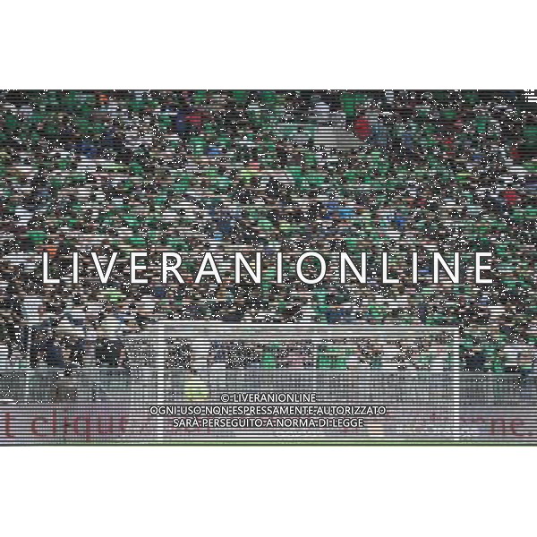 AMBIANCE / SUPPORTERS - 29.08.2013 - Saint Etienne / Esbjerg FB - Europa League 2013 Photo : Jean Paul Thomas / Icon Sport AG ALDO LIVERANI SAS ONLY ITALY