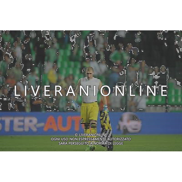 Stephane RUFFIER - 29.08.2013 - Saint Etienne / Esbjerg FB - Europa League 2013 Photo : Jean Paul Thomas / Icon Sport AG ALDO LIVERANI SAS ONLY ITALY