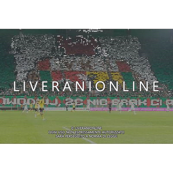POLSKA WROCLAW 29 08 2013 STADION MIEJSKI aleja SLASKA 1 SEZON 2013 2014 UEFA LIGA EUROPY REWANZOWY MECZ CZWARTEJ RUNDY ELIMINACYJI LIGI EUROPY WKS SLASK WROCLAW v SEVILLA FC N Z kibice slask kartoniada SEBASTIAN BOROWSKI Newspix pl POLAND WROCLAW 29 08 2013 STADIUM MUNICIPAL avenue SLASKA 1 SEASON 2013 2014 UEFA EUROPA LEAGUE SECOND LEG FOURTH QUALIFYING ROUND LEAGUE EUROPE MATCH WKS SLASK WROCLAW v SEVILLA FC --- Newspix.pl AG ALDO LIVERANI SAS ONLY ITALY *** Local Caption *** www.newspix.pl mail us: info@newspix.pl call us: 0048 022 23 22 222 --- Polish Picture Agency by Ringier Axel Springer Poland