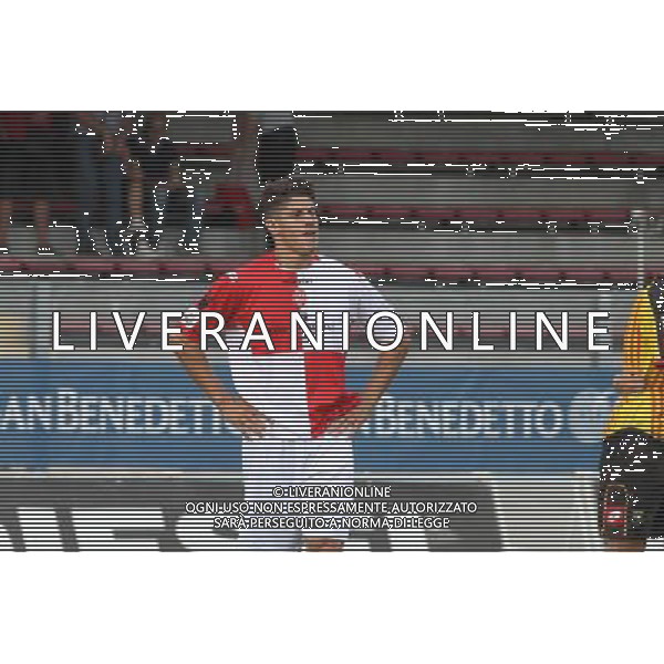 BASSANO - RIMINI CAMPIONATO LEGA PRO 1 SETTEMBRE 2013 NELLA FOTO LA DELUSIONE DEI GIOCATORI DEL RIMINI ©GARBUIO/AGENZIA ALDO LIVERANI SAS