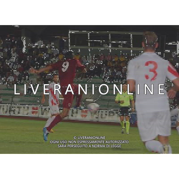 BOLZANO 1 SETTEMBRE 2013 /CAMPIONATO LEGAPRO I^ DIVISIONE 2013-2014 / SUDTIROL VS REGGIANA / NELLA FOTO: ANASTASI REALIZZA IL GOL DELL\'1-0 / FOTO FRANCESCA SOLI - AGENZIA ALDO LIVERANI SAS