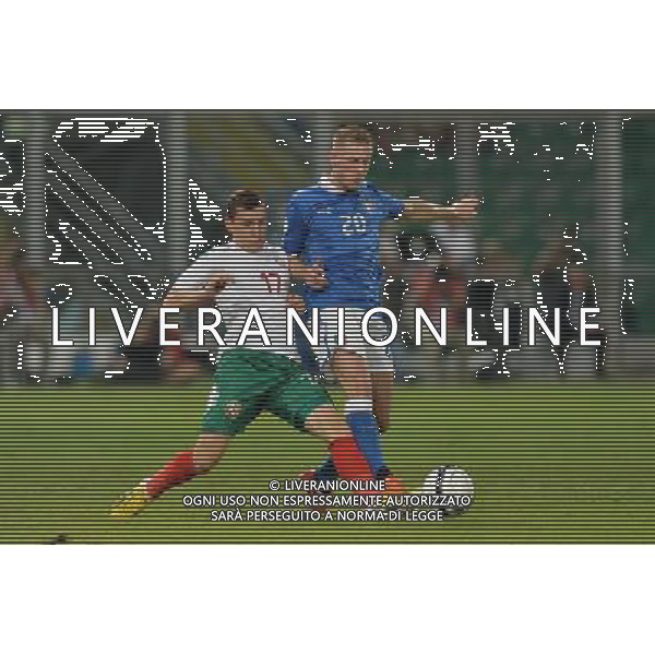 6-9-2013 Palermo : Italia - Bulgaria Qualificazioni Mondiali Calcio 2014 Nella foto: Todor Nedelev - Ignazio Abate GIUSEPPE SERGI/AG ALDO LIVERANI SAS 