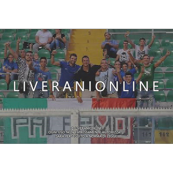 6-9-2013 Palermo : Italia - Bulgaria Qualificazioni Mondiali Calcio 2014 Nella foto: tifosi Italia GIUSEPPE SERGI/AG ALDO LIVERANI SAS 