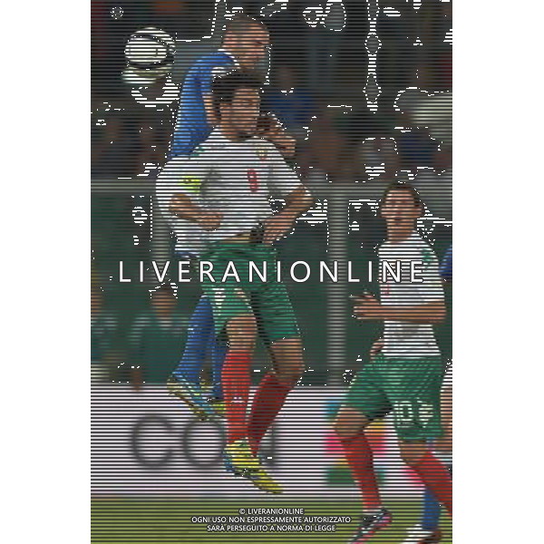 6-9-2013 Palermo : Italia - Bulgaria Qualificazioni Mondiali Calcio 2014 Nella foto: Leonardo Bonucci - Ivelin Popov GIUSEPPE SERGI/AG ALDO LIVERANI SAS 