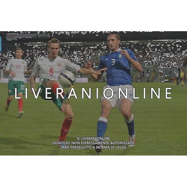 6-9-2013 Palermo : Italia - Bulgaria Qualificazioni Mondiali Calcio 2014 Nella foto: Yordan Minev - Giorgio Chiellini GIUSEPPE SERGI/AG ALDO LIVERANI SAS 