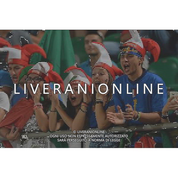 6-9-2013 Palermo : Italia - Bulgaria Qualificazioni Mondiali Calcio 2014 Nella foto: tifosi Italia GIUSEPPE SERGI/AG ALDO LIVERANI SAS 