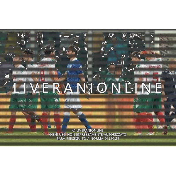 6-9-2013 Palermo : Italia - Bulgaria Qualificazioni Mondiali Calcio 2014 Nella foto: delusione Bulgaria GIUSEPPE SERGI/AG ALDO LIVERANI SAS 