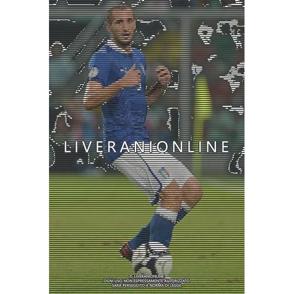 6-9-2013 Palermo : Italia - Bulgaria Qualificazioni Mondiali Calcio 2014 Nella foto: Giorgio Chiellini GIUSEPPE SERGI/AG ALDO LIVERANI SAS 