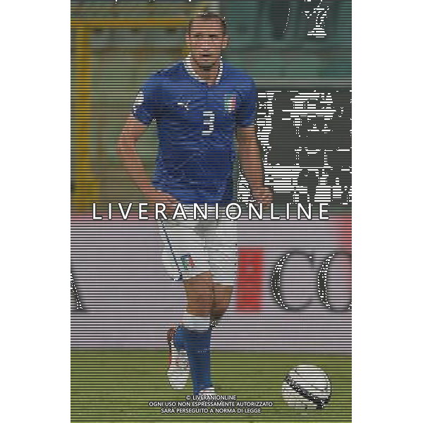 6-9-2013 Palermo : Italia - Bulgaria Qualificazioni Mondiali Calcio 2014 Nella foto: Giorgio Chiellini GIUSEPPE SERGI/AG ALDO LIVERANI SAS 