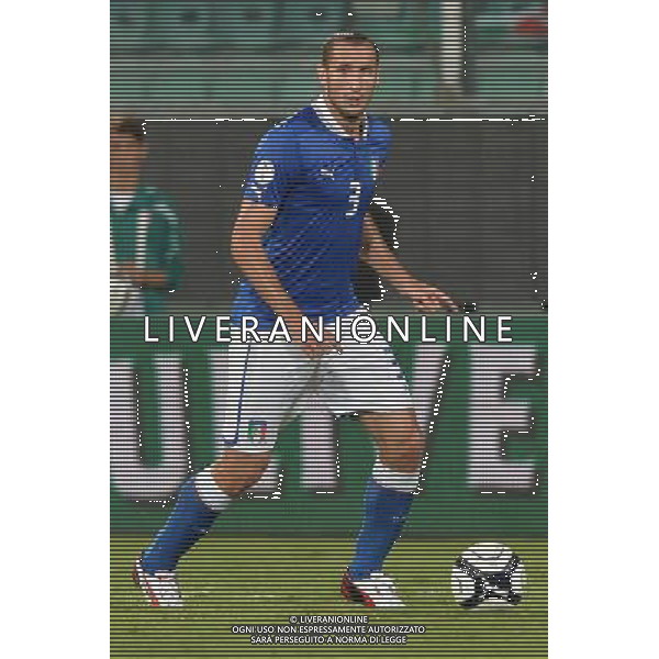 6-9-2013 Palermo : Italia - Bulgaria Qualificazioni Mondiali Calcio 2014 Nella foto: Giorgio Chiellini GIUSEPPE SERGI/AG ALDO LIVERANI SAS 