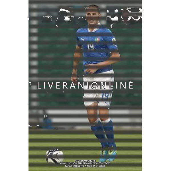 6-9-2013 Palermo : Italia - Bulgaria Qualificazioni Mondiali Calcio 2014 Nella foto: Leonardo Bonucci GIUSEPPE SERGI/AG ALDO LIVERANI SAS 