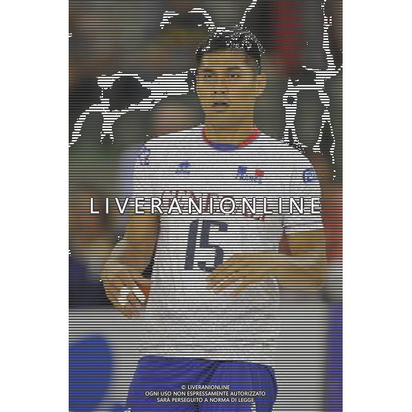 Samuele TUIA - 06.09.2013 - France / Canada - Match Amical Photo: Amandine Noel / Icon Sport AG ALDO LIVERANI SAS ONLY ITALY