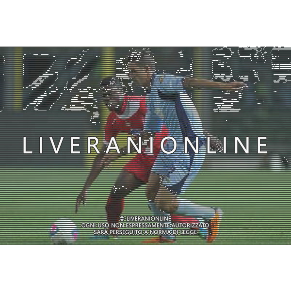 bergamo, stadio atleti azzurri d\'italia, 08 settembre 2013, nella foto SALVI ALESSANDRO ,ph.moro/ALDO LIVERANI